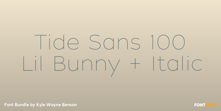 Tide Sans 100 Lil Bunny + Italic Poster