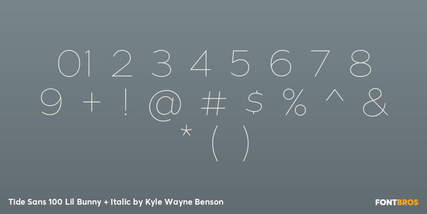 Tide Sans 100 Lil Bunny + Italic Font Poster #1