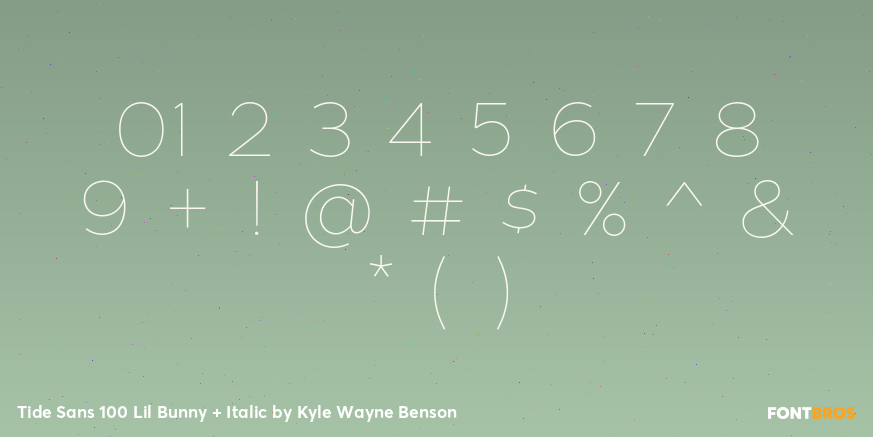 Tide Sans 100 Lil Bunny + Italic Font Poster #4