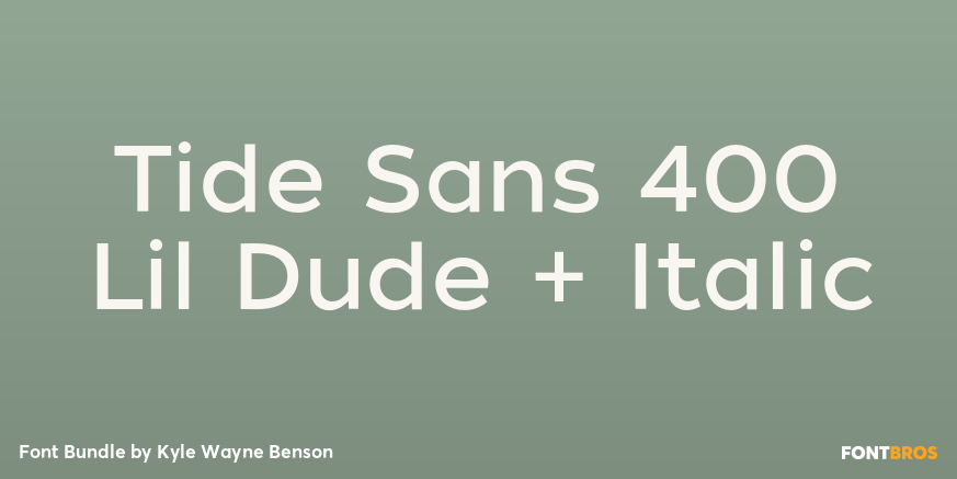 Tide Sans 400 Lil Dude + Italic Poster