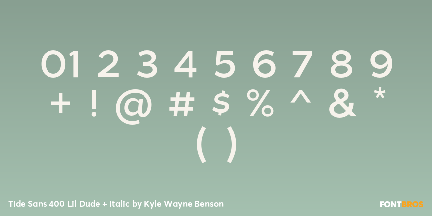 Tide Sans 400 Lil Dude + Italic Font Poster #1