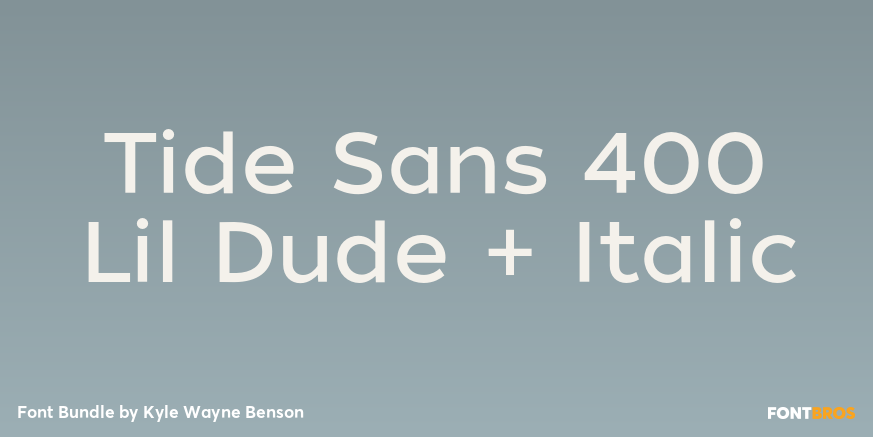 Tide Sans 400 Lil Dude + Italic Font Poster #1