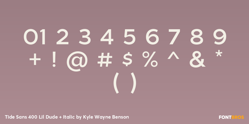 Tide Sans 400 Lil Dude + Italic Font Poster #4