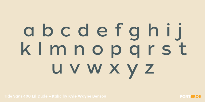 Tide Sans 400 Lil Dude + Italic Font Poster #1