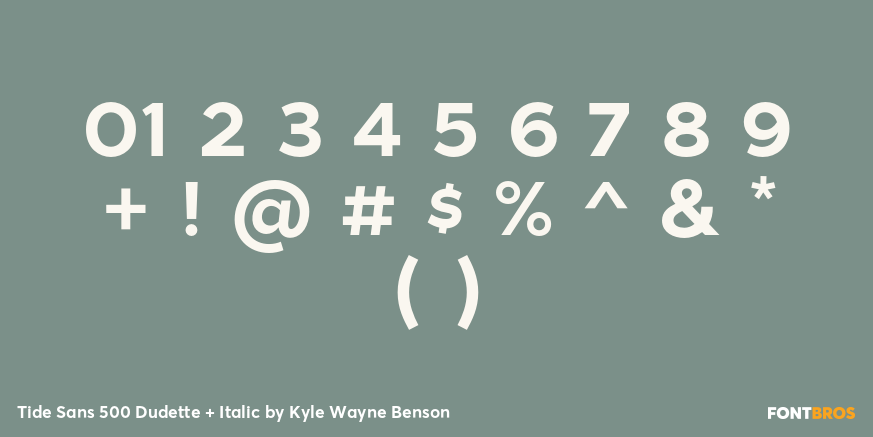 Tide Sans 500 Dudette + Italic Font Poster #1