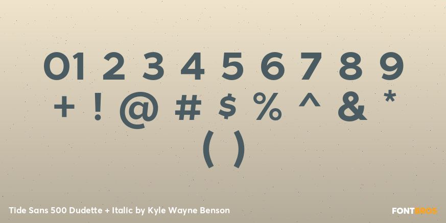 Tide Sans 500 Dudette + Italic Font Poster #4