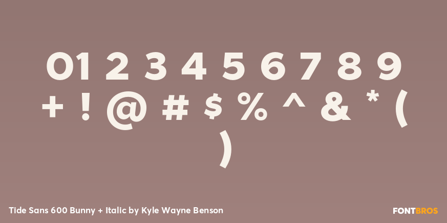 Tide Sans 600 Bunny + Italic Font Poster #1