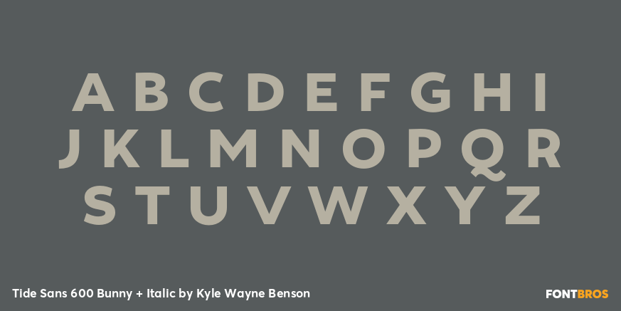 Tide Sans 600 Bunny + Italic Font Poster #2