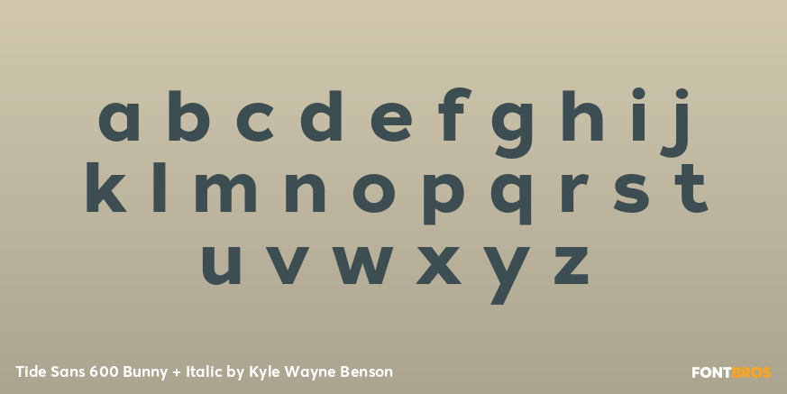 Tide Sans 600 Bunny + Italic Font Poster #3