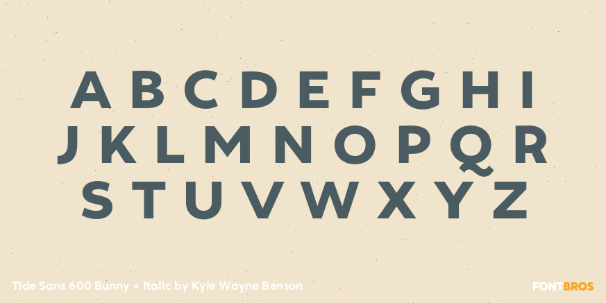 Tide Sans 600 Bunny + Italic Font Poster #1