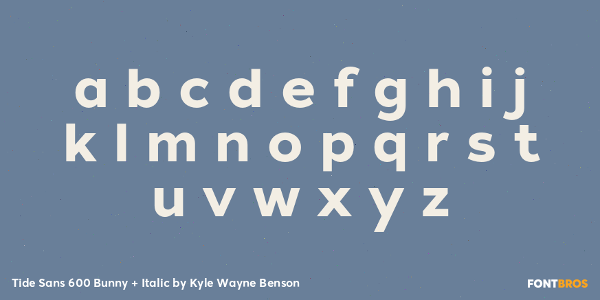 Tide Sans 600 Bunny + Italic Font Poster #1