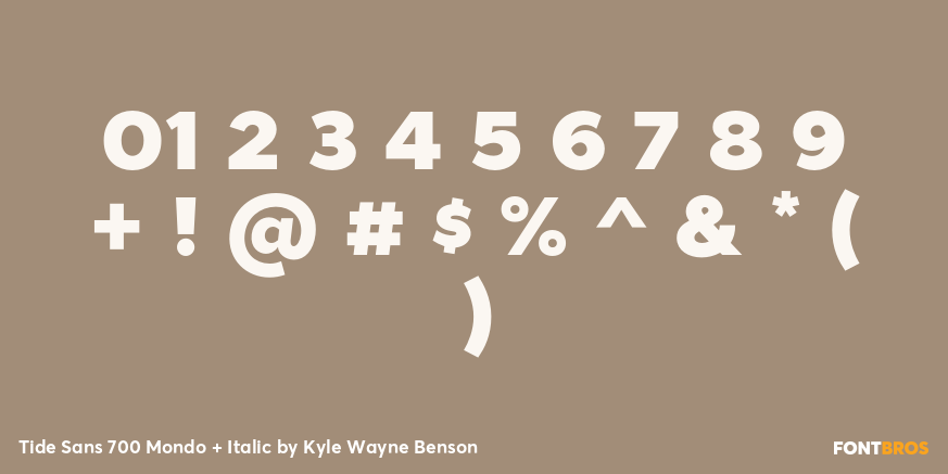 Tide Sans 700 Mondo + Italic Font Poster #1