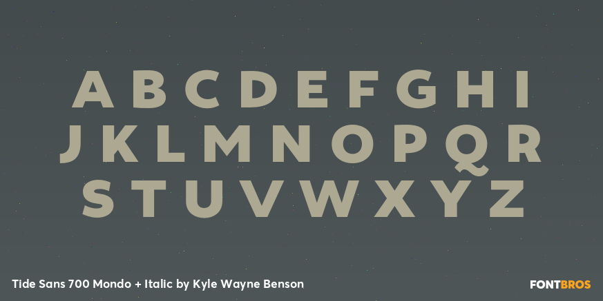 Tide Sans 700 Mondo + Italic Font Poster #2