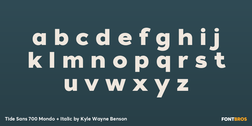 Tide Sans 700 Mondo + Italic Font Poster #3