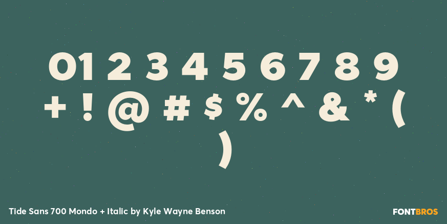 Tide Sans 700 Mondo + Italic Font Poster #4