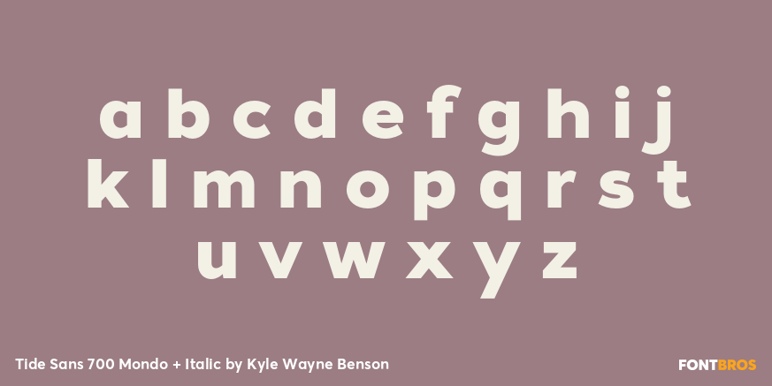 Tide Sans 700 Mondo + Italic Font Poster #1
