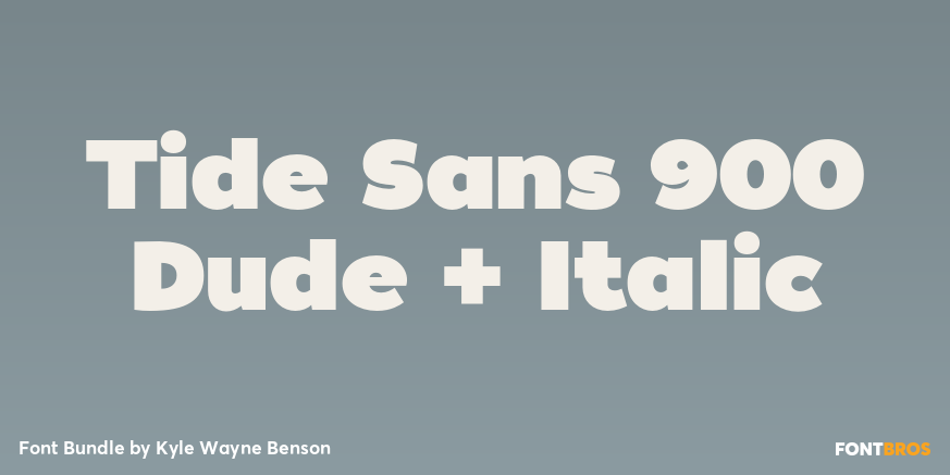 Tide Sans 900 Dude + Italic Font Poster #1