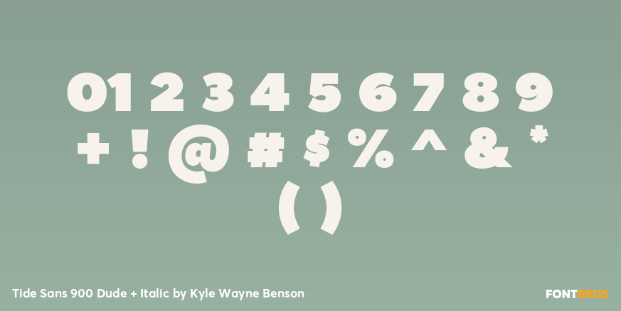 Tide Sans 900 Dude + Italic Font Poster #1