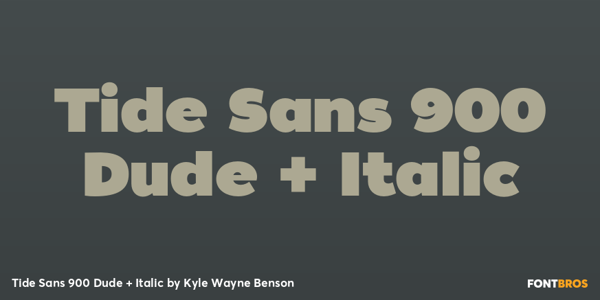 Tide Sans 900 Dude + Italic Font Poster #1