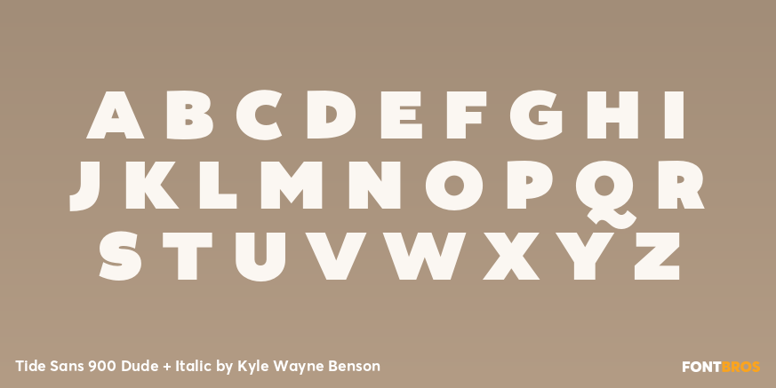 Tide Sans 900 Dude + Italic Font Poster #2