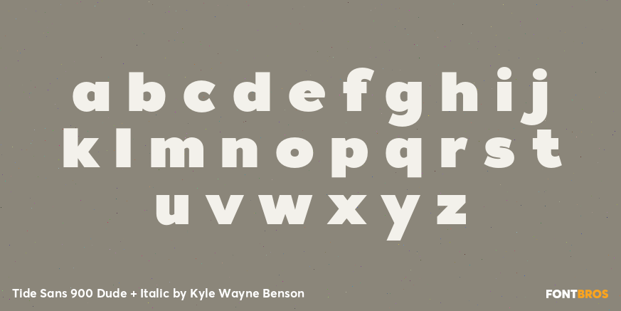 Tide Sans 900 Dude + Italic Font Poster #3
