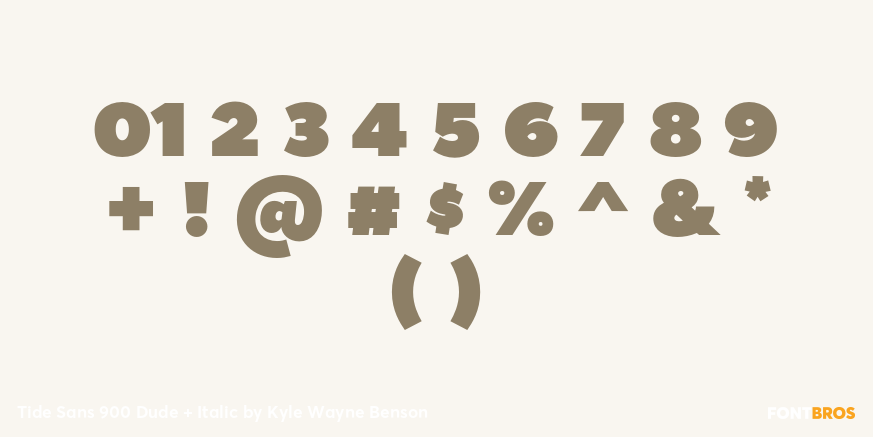 Tide Sans 900 Dude + Italic Font Poster #4