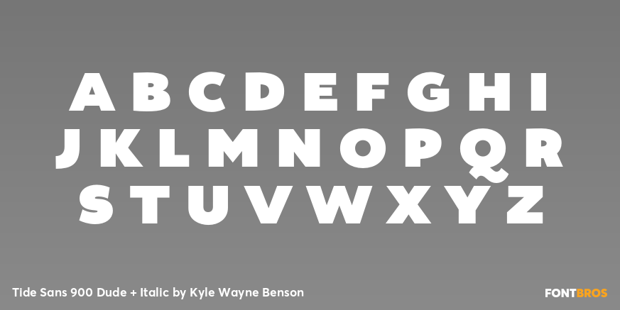 Tide Sans 900 Dude + Italic Font Poster #1