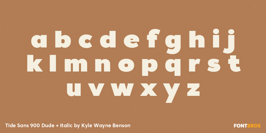Tide Sans 900 Dude + Italic Font Poster #1