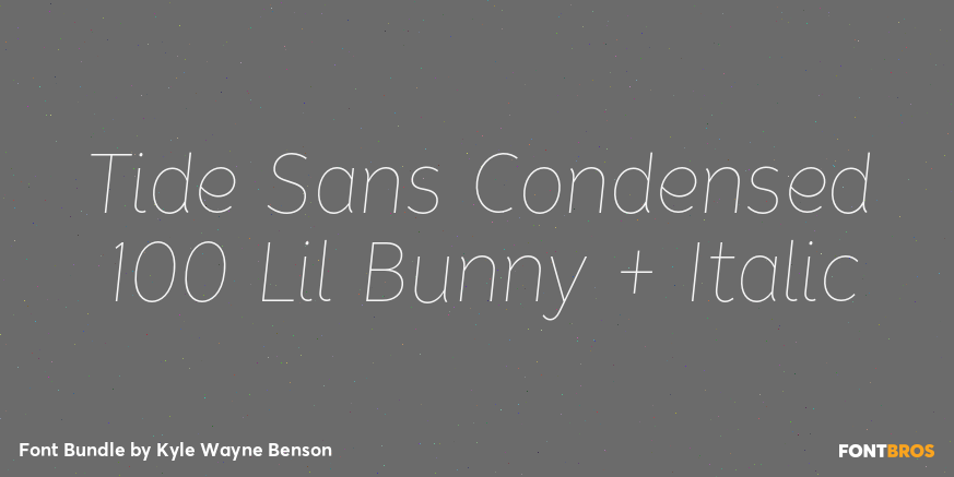 Tide Sans Condensed 100 Lil Bunny + Italic Poster