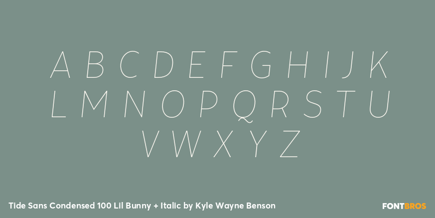Tide Sans Condensed 100 Lil Bunny + Italic Font Poster #2