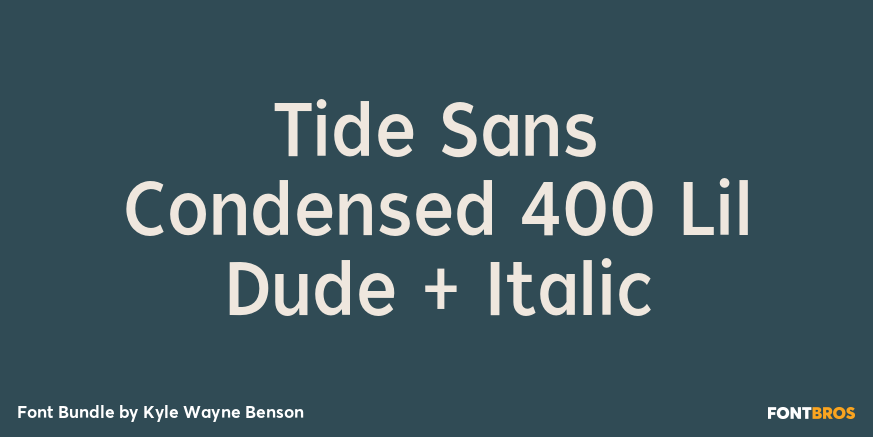 Tide Sans Condensed 400 Lil Dude + Italic Poster