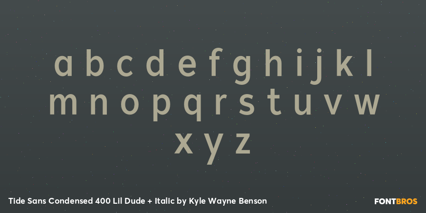 Tide Sans Condensed 400 Lil Dude + Italic Font Poster #3