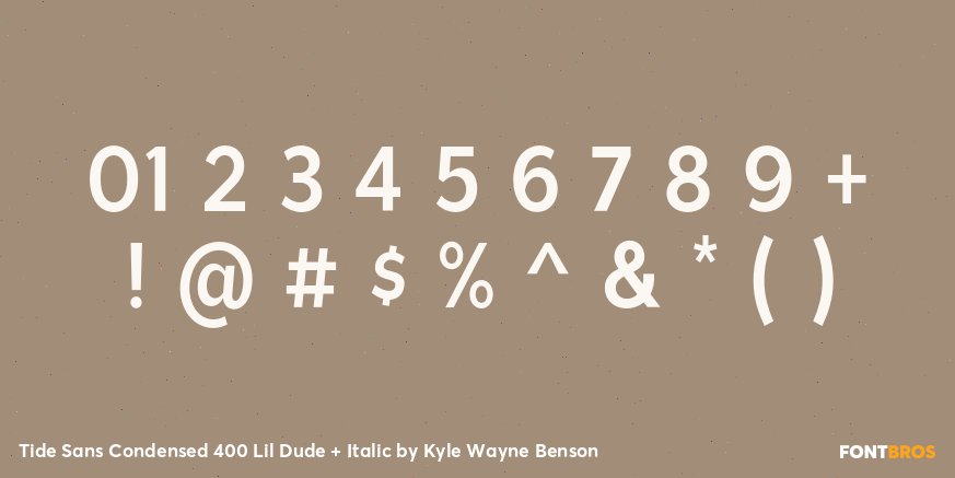 Tide Sans Condensed 400 Lil Dude + Italic Font Poster #4
