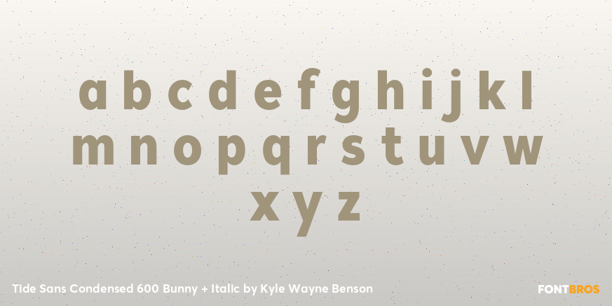 Tide Sans Condensed 600 Bunny + Italic Font Poster #3