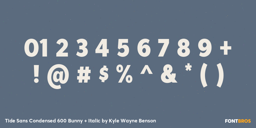 Tide Sans Condensed 600 Bunny + Italic Font Poster #4