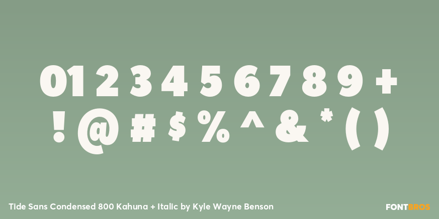 Tide Sans Condensed 800 Kahuna + Italic Font Poster #4