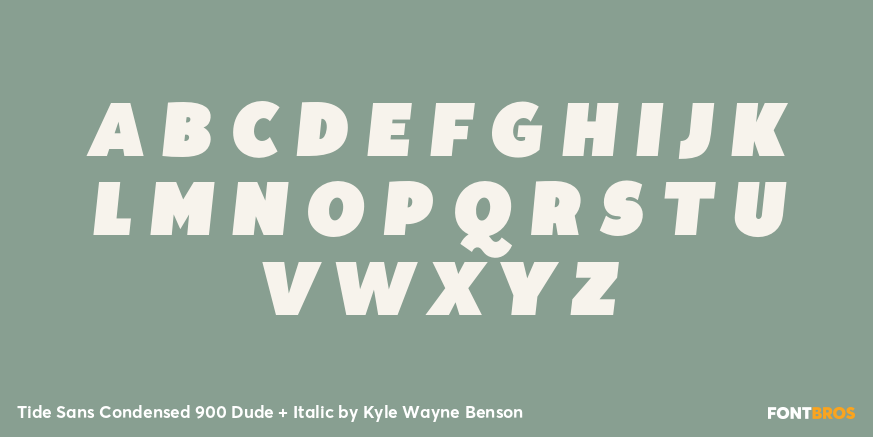 Tide Sans Condensed 900 Dude + Italic Font Poster #2