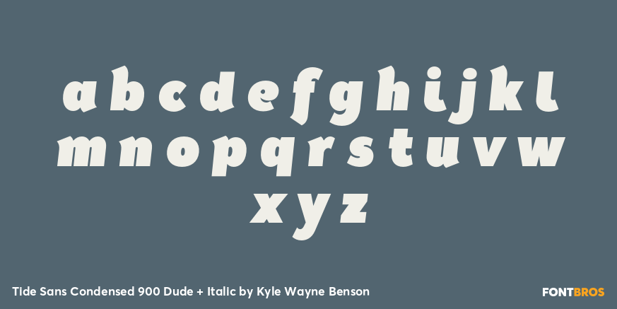 Tide Sans Condensed 900 Dude + Italic Font Poster #3