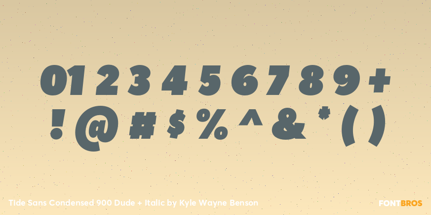 Tide Sans Condensed 900 Dude + Italic Font Poster #4
