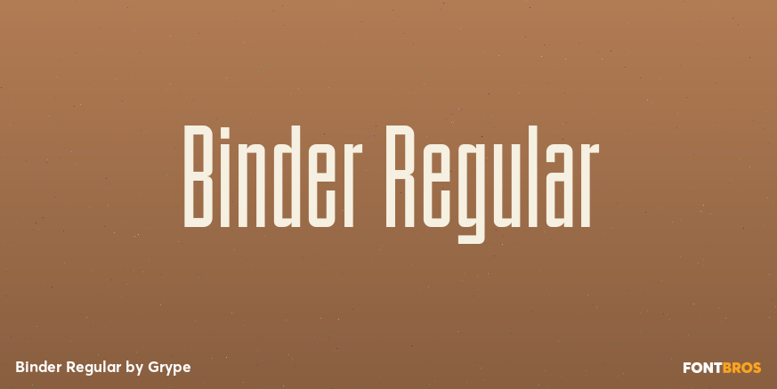 Binder Regular Font Poster #1