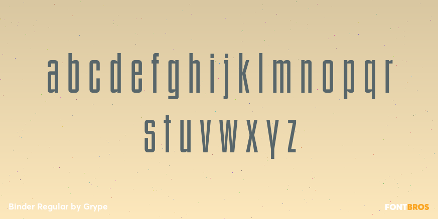 Binder Regular Font Poster #3