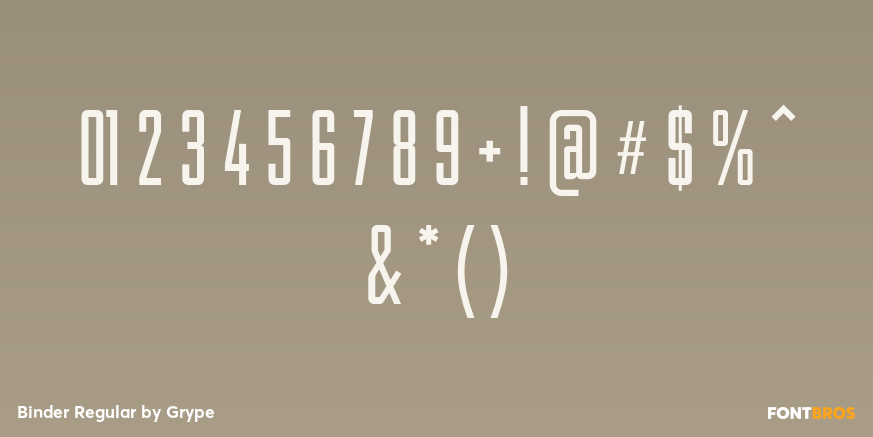 Binder Regular Font Poster #4