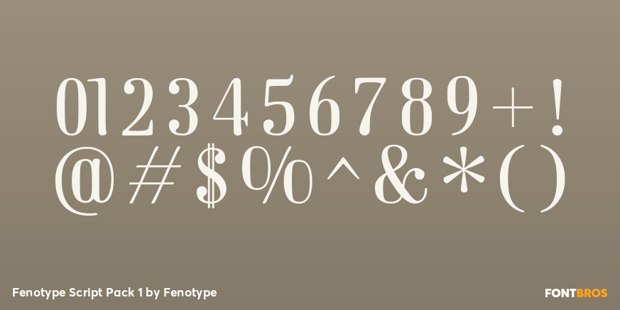 Fenotype Script Pack 1 Font Poster #4