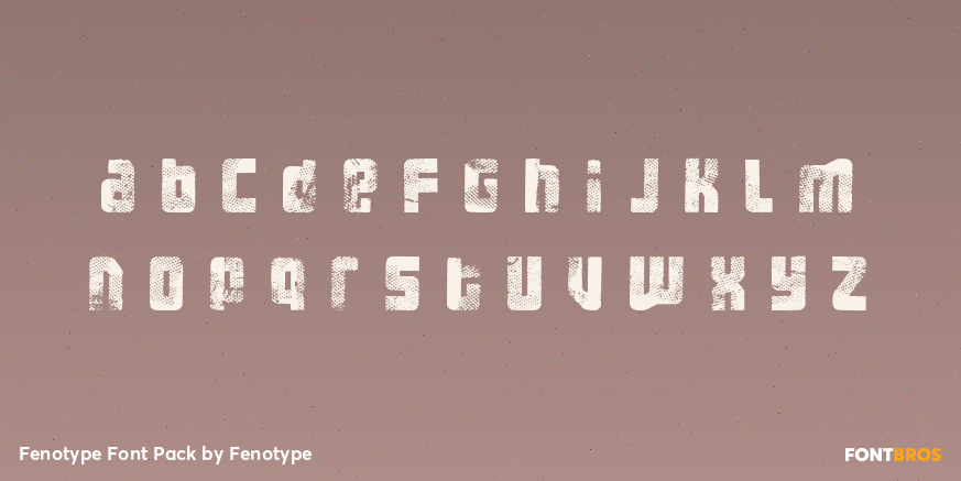 Fenotype Font Pack Font Poster #3