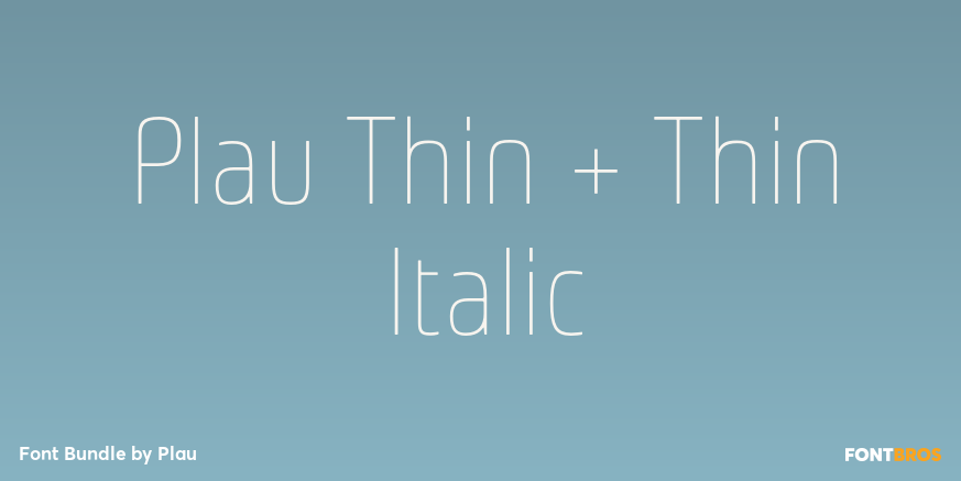 Plau Thin + Thin Italic Poster