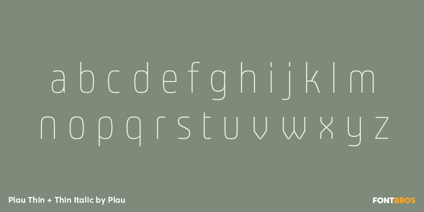 Plau Thin + Thin Italic Font Poster #3