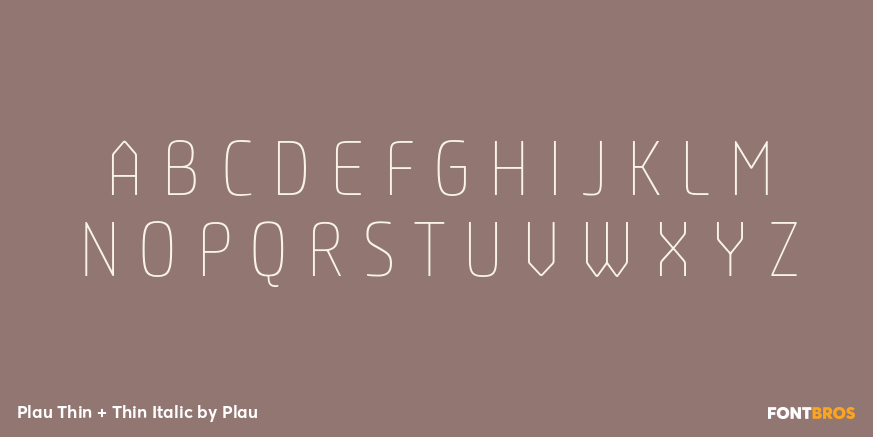 Plau Thin + Thin Italic Font Poster #1