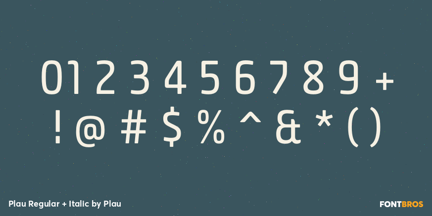 Plau Regular + Italic Font Poster #4