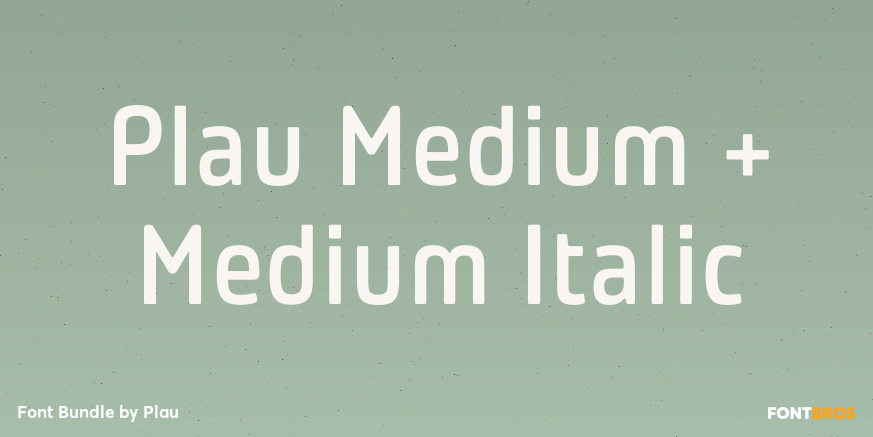 Plau Medium + Medium Italic Font Poster #1