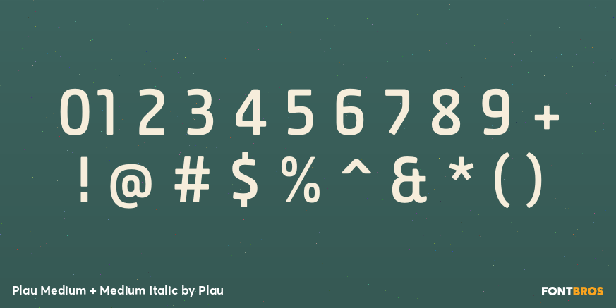 Plau Medium + Medium Italic Font Poster #1